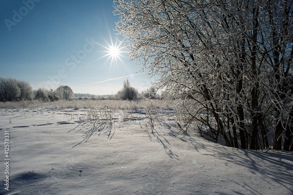 Obraz Winter flat landscape.After a cold night, the branches of the trees in the field are covered with frost. The background is blurry, boke. Traces of people, sunny sky, small and large plants are visible