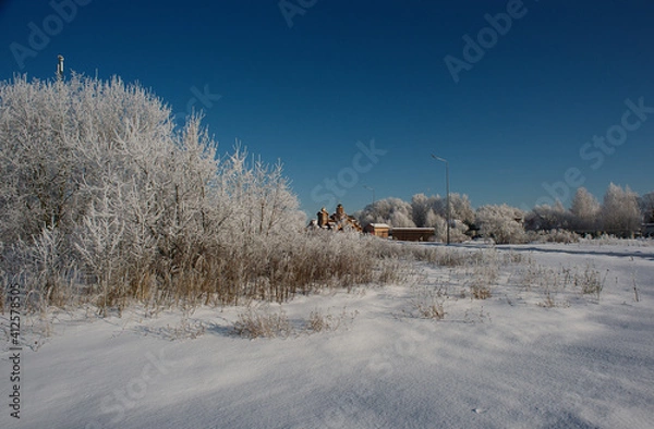 Obraz Winter flat landscape.After a cold night, the branches of the trees in the field are covered with frost. The background is blurry, boke. Traces of people, sunny sky, small and large plants are visible