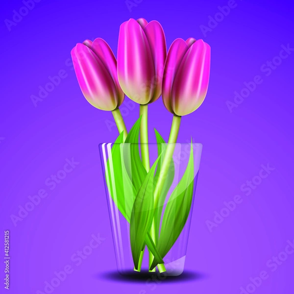 Obraz tulips in a vase