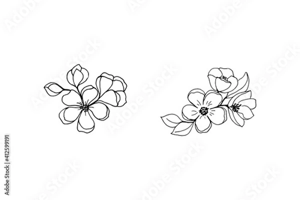 Obraz Branches of blossoming cherry sakura freehand drawing by black outline. 