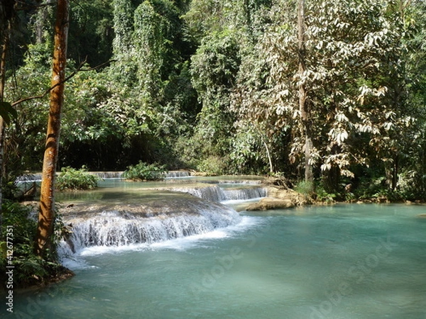 Obraz waterfall in the forest