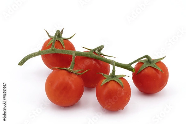 Obraz Cherry tomatoes
