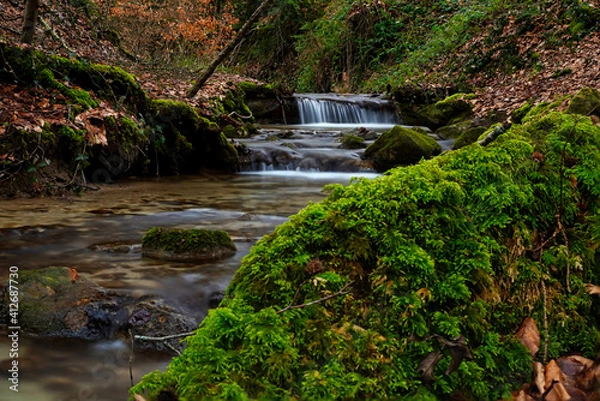 Obraz waterfall in the forest