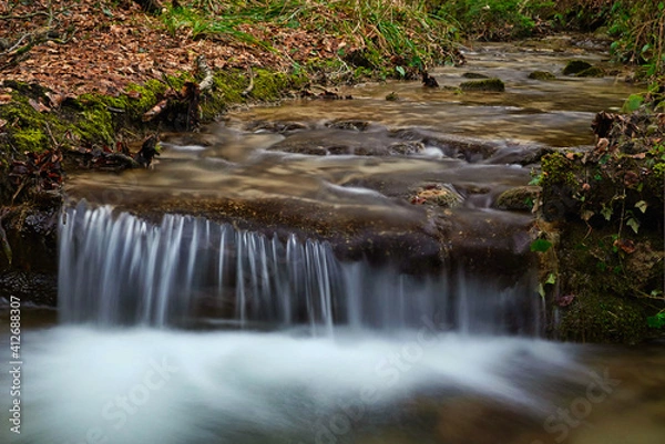 Obraz waterfall in the forest