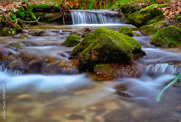 Obraz waterfall in the forest
