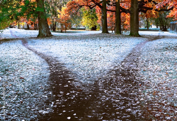 Obraz The wide trail is divided into two paths diverging in different directions. Autumn landscape with fallen leaves, frost and early snow on the ground and grass
