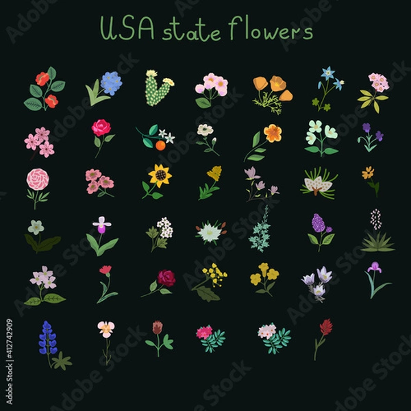 Fototapeta USA state flowers