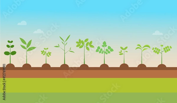 Fototapeta Plant Types grow with nature background.Vector illustration.Seedling green trees.Plants set on ground.Garden tree seedling