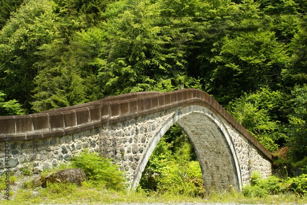 Fototapeta A beautiful photo of a bridge in the middle of a forest filled with green grass.