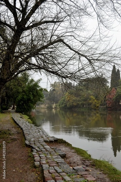 Obraz LAGO DEL BOSQUE  IV