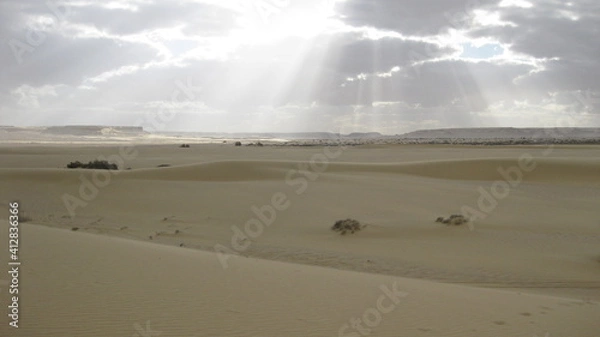 Obraz Vue du desert