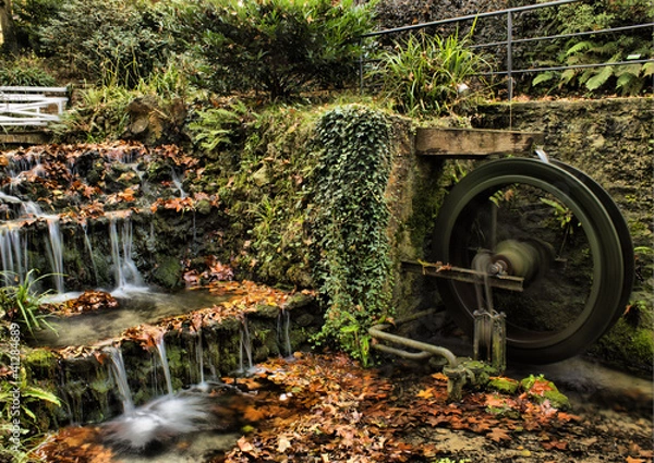 Obraz Jardín Botánico