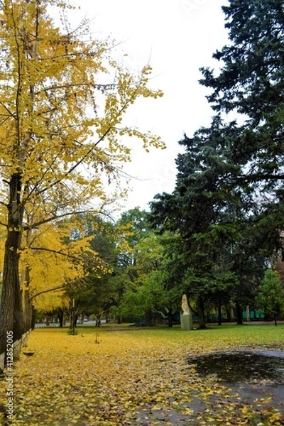 Obraz PASEO DEL BOSQUE  I