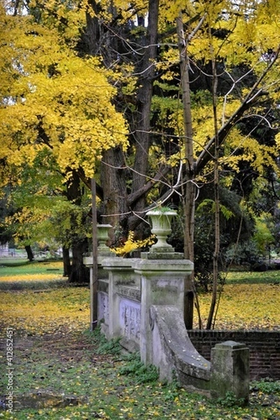 Obraz PASEO DEL BOSQUE  II