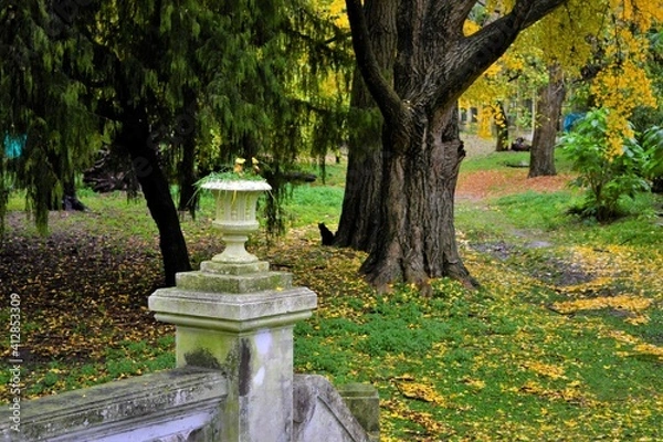 Obraz PASEO DEL BOSQUE  IV