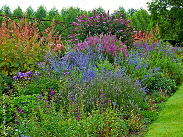 Obraz Colourful summer border at a French Country House garden with Perovskia atriplicifolia