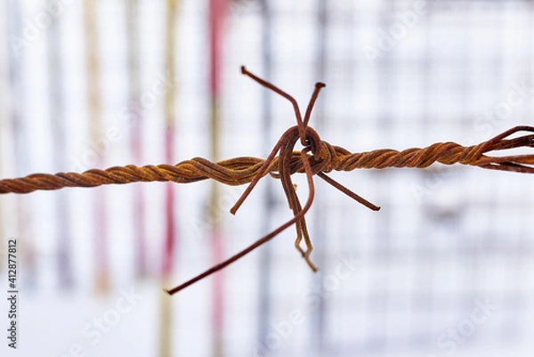 Fototapeta a knot of rusty wire. detail on a striped background. close-up, macro