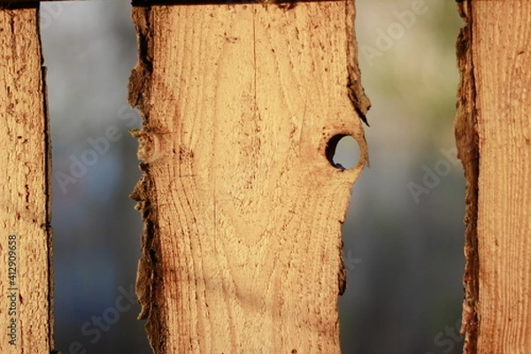 Obraz Wood background