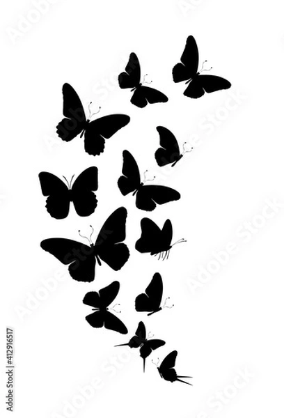 Fototapeta Flock of silhouette black butterflies on white background. Vector