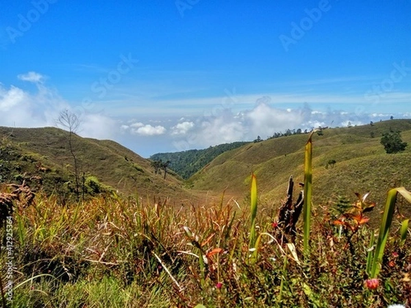 Obraz landscape with mountains