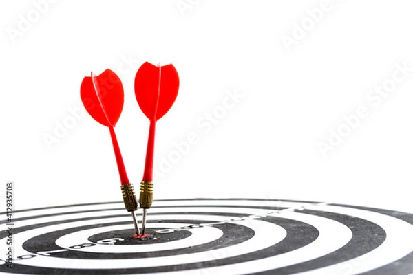 Fototapeta Target hit in the center by arrows. Success goals Targeting the business concept. Target and goal as concept. isolated on white background.