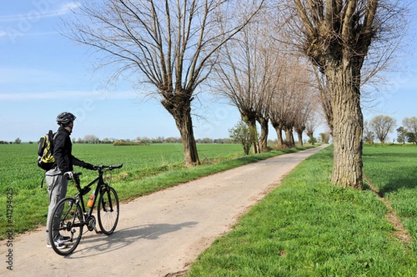 Obraz Radfahrer an der Baumallee