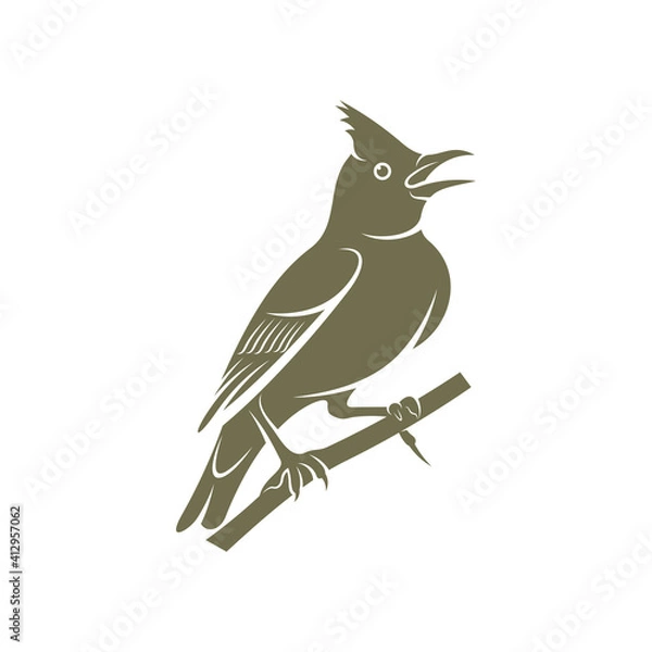 Fototapeta Lark bird logo design vector. Icon Symbol. Template Illustration. Creative design