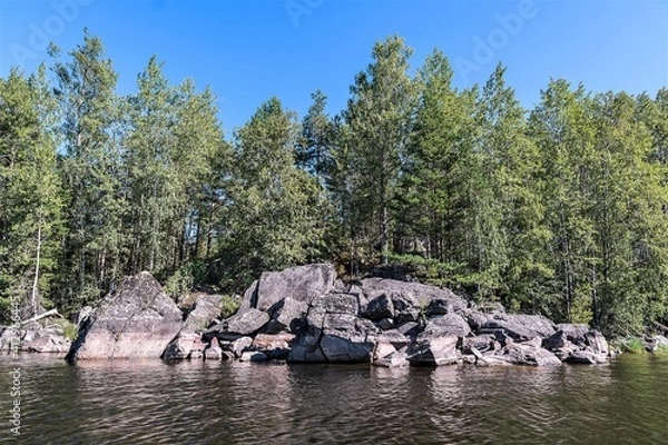 Fototapeta Russia, Lake Ladoga, August 2020. Deciduous forest on the rocks in the middle of the lake.