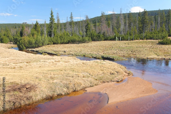 Obraz Jizerka River, Jizera Mountains