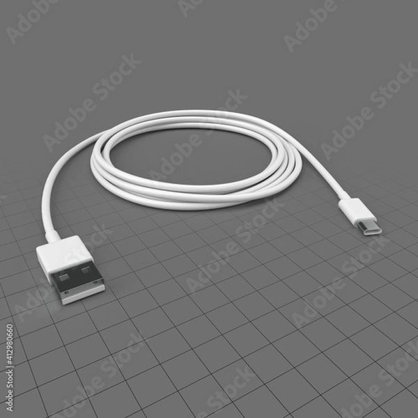 Fototapeta USB C to USB cable