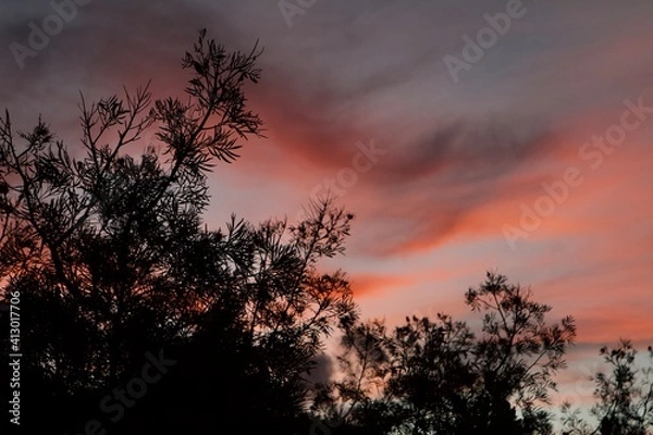 Obraz fire in the sky