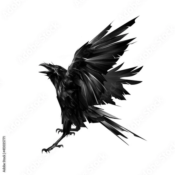 Fototapeta drawn flying raven bird on white background