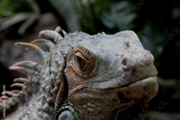 Obraz looking at me?