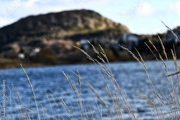 Obraz Quidi Vidi Lake