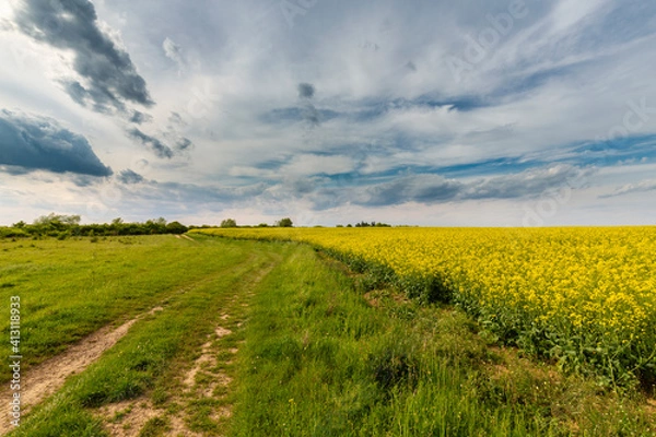 Obraz Beautiful rural fields in spring, under dramatic stormy sky