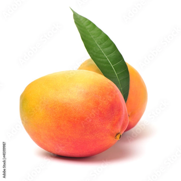 Fototapeta Mango on a white background