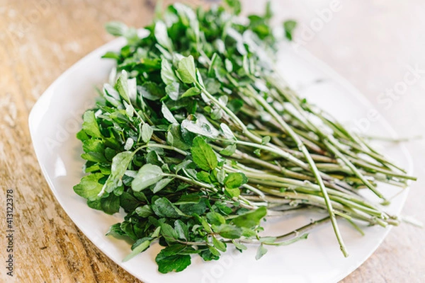 Fototapeta 新鮮なクレソン。朝収穫しみずみずしい野菜。