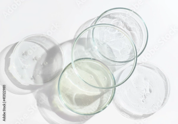 Fototapeta  glass Petri dishes witn agar substrat on a laboratory table. sterile lab dishes ready for tests. analysis and chemical experiment. cell culture growing equipment. top view. medical lab concept.