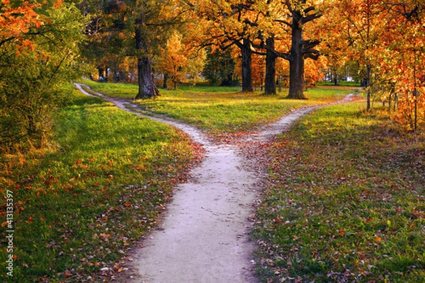 Obraz A wide trail in the rays of sunset in an autumn park branches into two narrow ones, leading in different directions