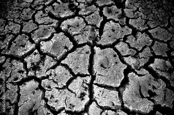 Obraz dry earth