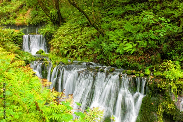 Fototapeta 渓流　mountain stream

