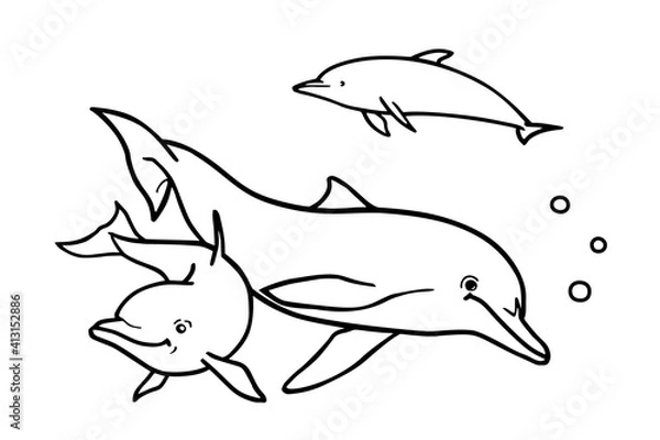 Fototapeta Dolphins in the ocean. Can be used for coloring book for kids. Vector illustration.