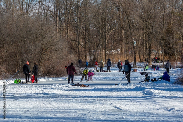 Obraz Fun on the Ice