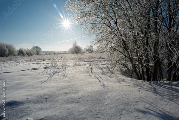 Obraz Winter flat landscape.After a cold night, the branches of the trees in the field are covered with frost. The background is blurry, boke. Traces of people, sunny sky, small and large plants are visible