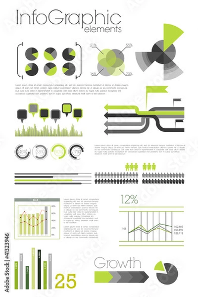 Obraz Modern infographic with elemnts