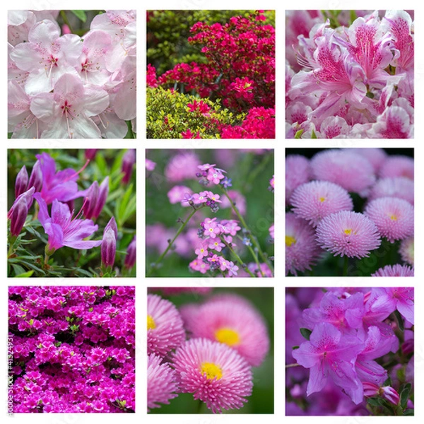 Obraz Mosaïque rose et mauve