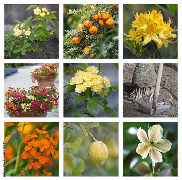 Obraz Mosaïque jaune et orange