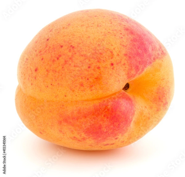 Fototapeta One apricot isolated on white background cutout