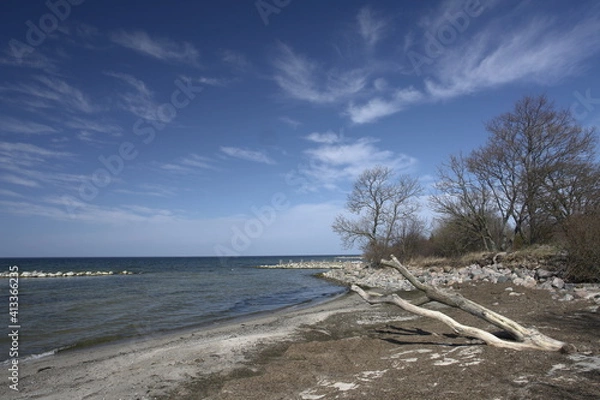 Obraz tree on the beach