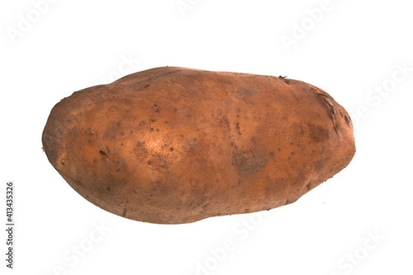 Obraz potato isolated on white background